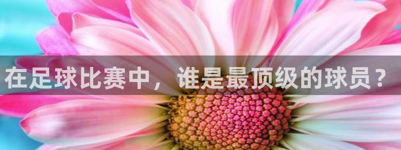 谈球吧