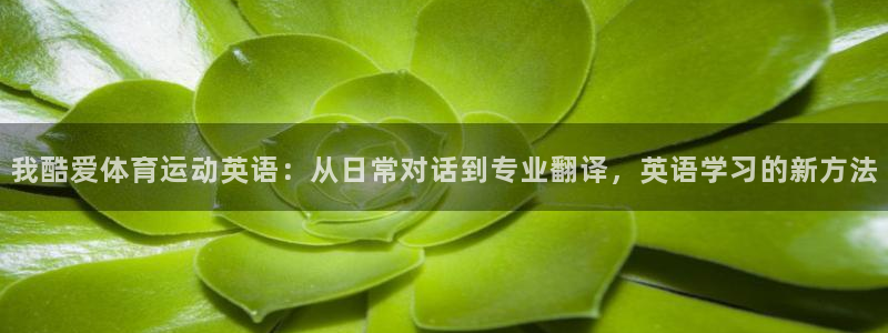 谈球吧体育官网