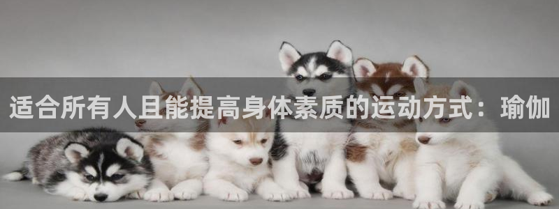 谈球吧体育