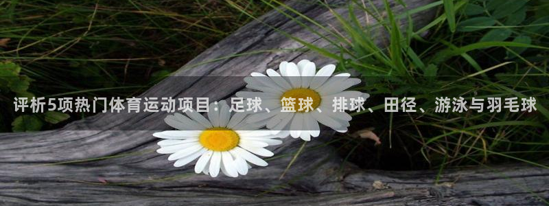 谈球吧体育官网