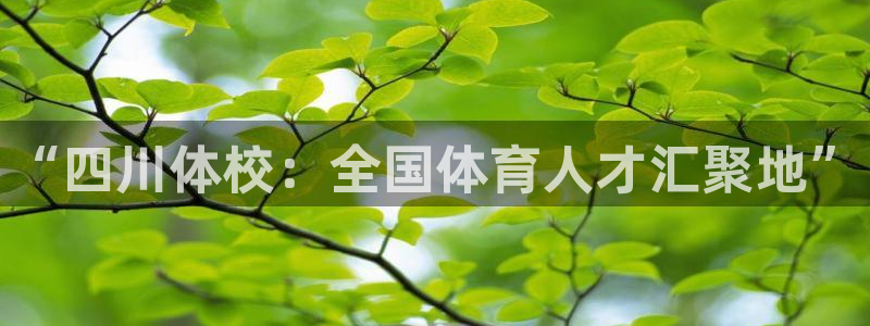 谈球吧体育